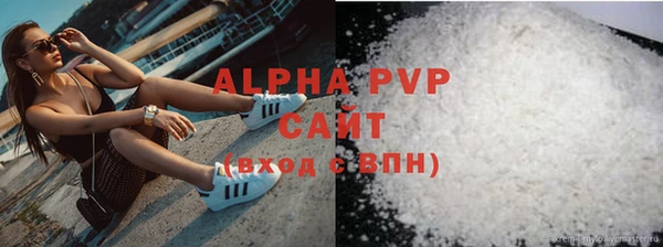 PSILOCYBIN Балахна